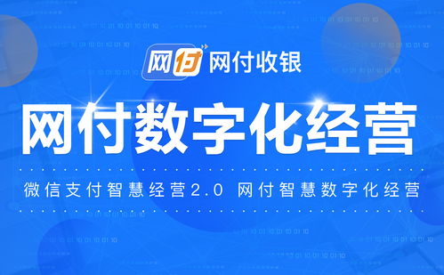 網(wǎng)付解讀 傳統(tǒng)企業(yè)數(shù)字化經(jīng)營(yíng)轉(zhuǎn)型干貨——聚焦信息網(wǎng)絡(luò)與動(dòng)漫產(chǎn)品新藍(lán)海